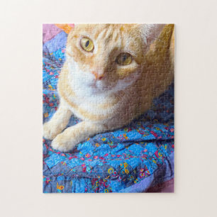 Orangefarbenes Tabby auf Quilt