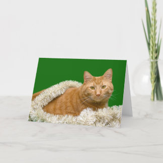 Orangefarbenes Weihnachten