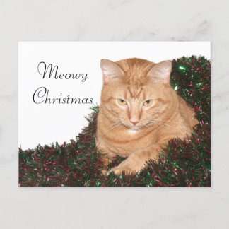 Orangefarbenes Weihnachten