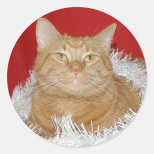 Orangefarbenes Weihnachten Runder Aufkleber