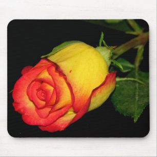 Orangegelbe Rose Mousepad
