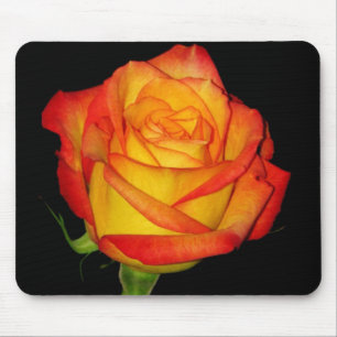 Orangegelbe Rose Mousepad