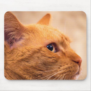 Orangekatze-Mauspad Gemütliches Katzenporträt Mousepad