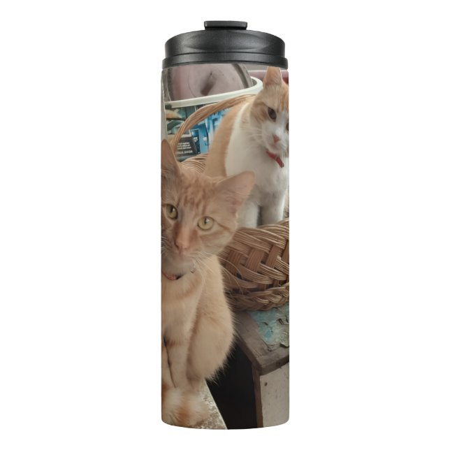 Orangekatzenfoto Thermosbecher (Vorderseite)