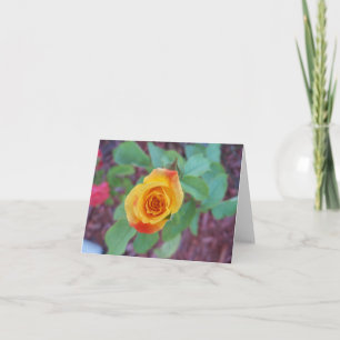 Orangelbe Rose mit Morgentau Karte