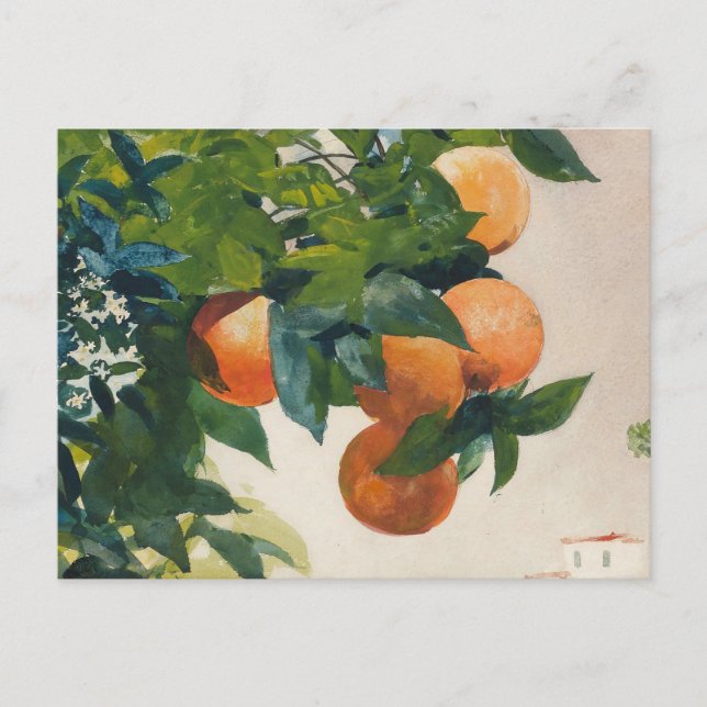 Orangen an einer Zweigstelle | Winslow Homer Postkarte (Vorderseite)