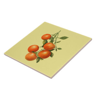 Orangen ~ Botanisches Tile ~ Küche ~ Jede Farbe ~ Fliese