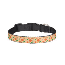 Orangen-Hundehalsband