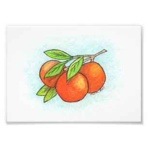 Orangen-Illustrations-Foto-Druck Fotodruck