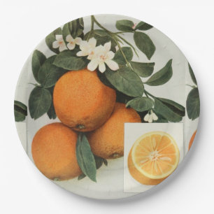 ORANGEN-Pappteller Pappteller