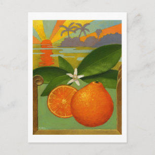 Orangen Postkarte