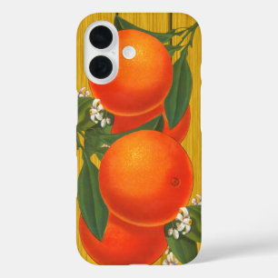 Orangen Retro Fruchtkasten Kunst title_seo2