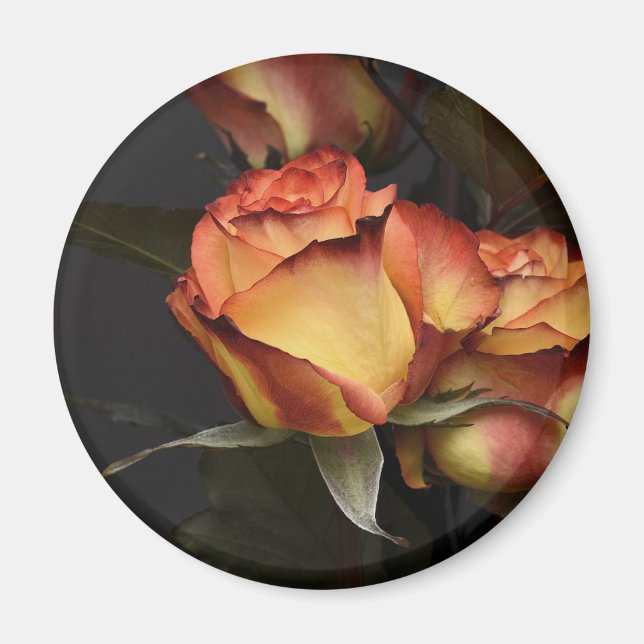Orangen, Rot und Gelb Magnet (Vorne)
