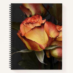 Orangen, Rot und Gelb Notizbuch