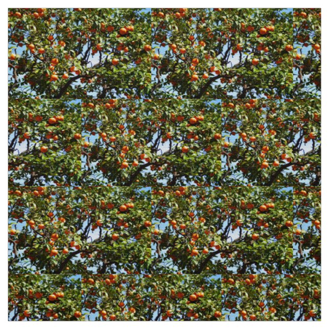 Orangen Stoff (Muster)