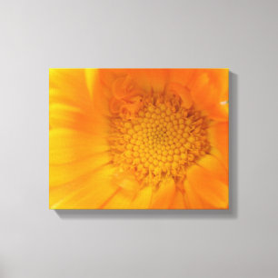 Orangen-Tagetes-Makro-Leinwanddruck Leinwanddruck
