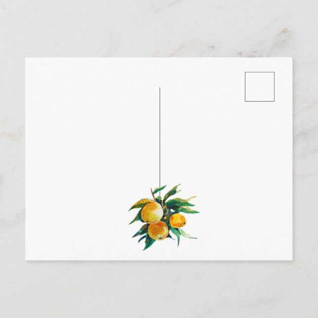 Orangen und Blumen Postkarte (Rückseite)