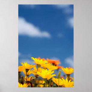 Orangen- und gelbe Namaqualand-Milcherzeugnisse Poster