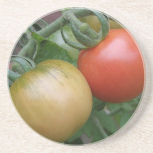 Orangen und Rote Tomaten/Paradeiser Untersetzer