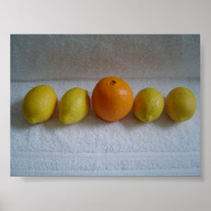 Orangen und Zitronen Poster
