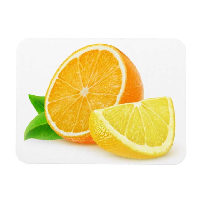 Orangen- und Zitronenstücke Magnet (Horizontal)