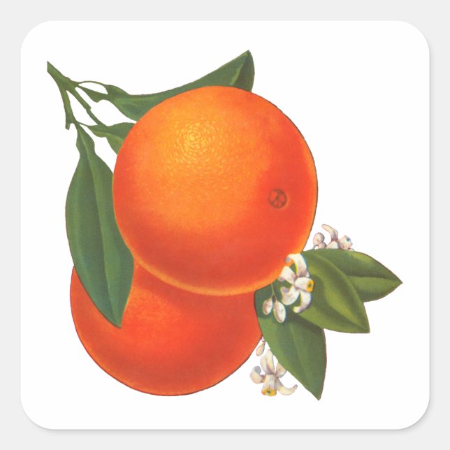 Orangen Vintage-Kiste Kunst Aufkleber Vorlage (Vorderseite)