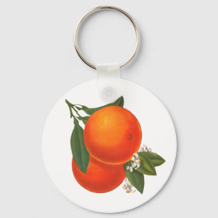 Orangen Vintage-Kiste Kunst Schlüsselanhänger