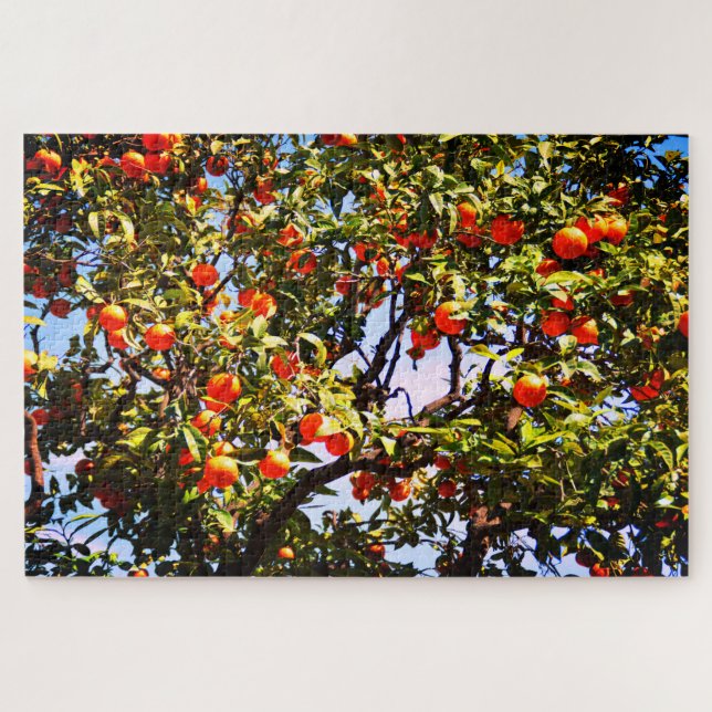 Orangenbaum (Horizontal)