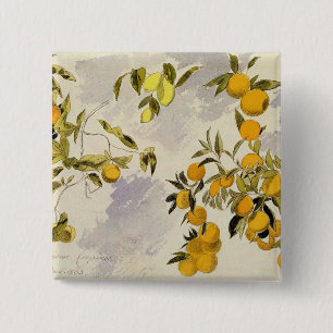 Orangenbäume, 1863 (w/c, Federübergraphit Button