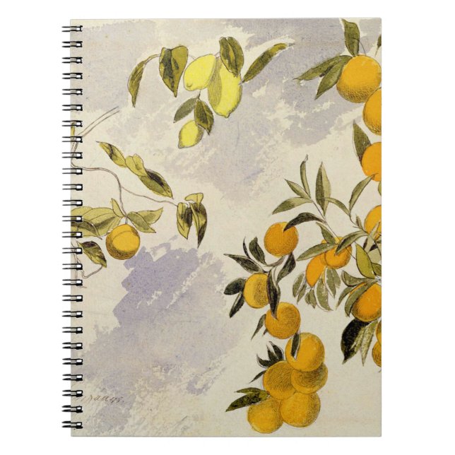 Orangenbäume, 1863 (w/c, Federübergraphit Notizblock (Vorderseite)