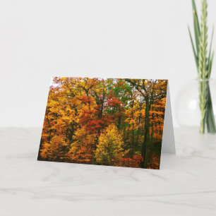 Orangenbäume im Herbst Karte