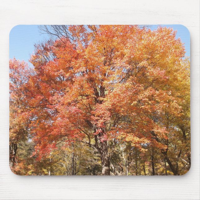 Orangenbäume Mousepad (Vorne)
