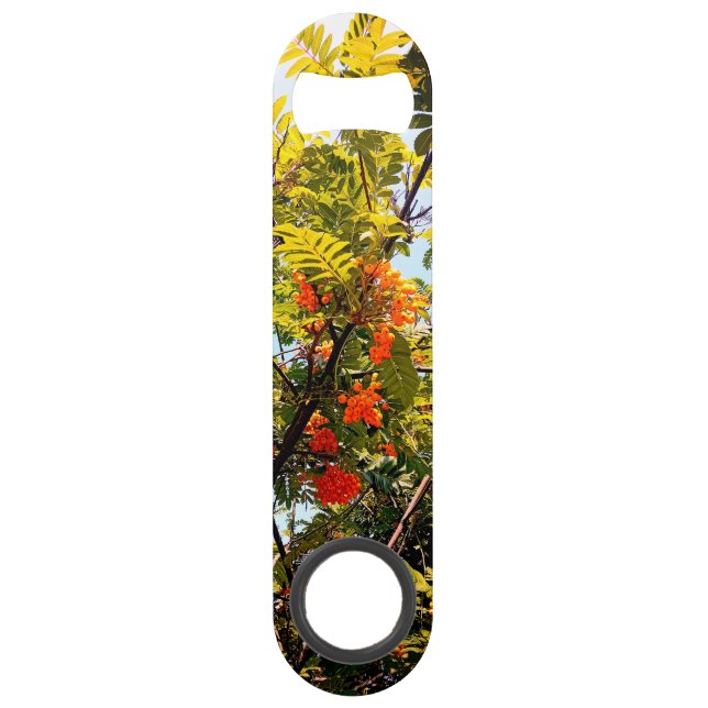 Orangenbeeren Speed Flaschenöffner (Vorderseite)