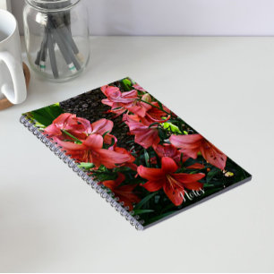 Orangene Asiatische Lilien Blumen Notizblock