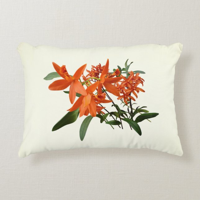 Orangene Epidendrum-Orchidee Dekokissen (Vorderseite)