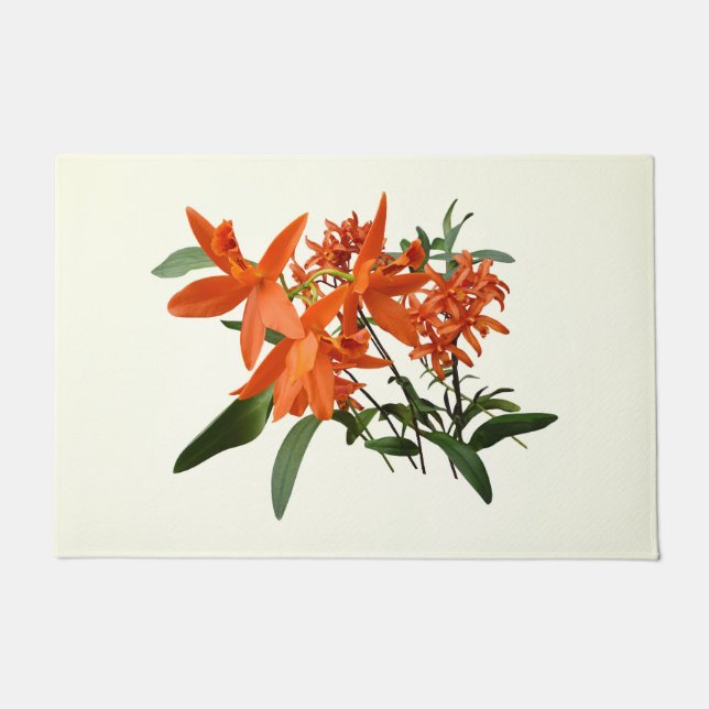 Orangene Epidendrum-Orchidee Fußmatte (Vorderseite)