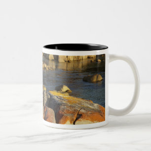 Orangene Flechte auf Felsen, Binalong Bay, Bucht d Zweifarbige Tasse