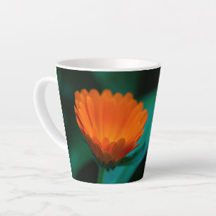 Orangene Gänseblümchen-Blumenfotografie Milchtasse