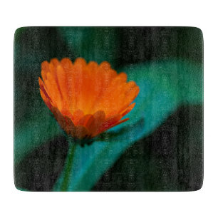 Orangene Gänseblümchen-Blumenfotografie Schneidebrett