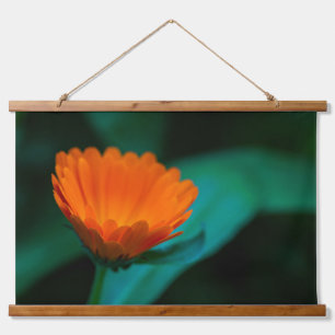 Orangene Gänseblümchen-Blumenfotografie Wandteppich Mit Holzrahmen