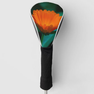 Orangene Gänseblümchenblüte Golf Headcover