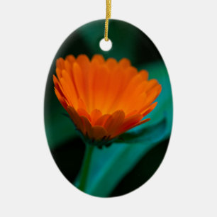 Orangene Gänseblümchenblüte Keramik Ornament