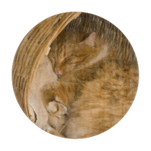 Orangene getigerte Katze schläft in Wäschekorb Schneidebrett