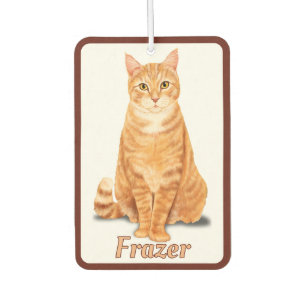 Orangene Ingwer-Tabby-Katze Personalisiert Autolufterfrischer