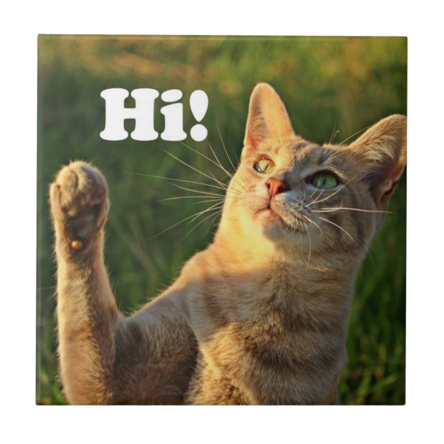 Orangene Katze sagt Hallo! Fliese (Vorderseite)