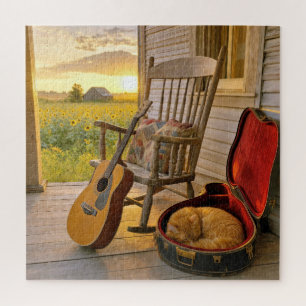 Orangene Katze schläft in einem Gitarrenkoffer