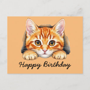 Orangene Katze Tabbykatze Alles Gute zum Geburtsta Postkarte