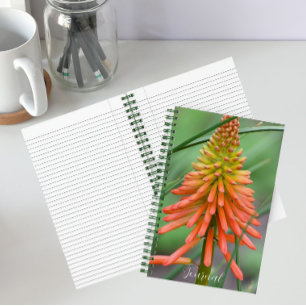 Orangene Kniphofia-Blüte Floral Notizbuch