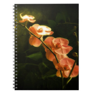 Orangene Orchidee Notizblock