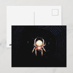 Orangene Radnetzspinne Postkarte